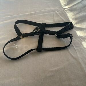 Small black adjustable dog harness.